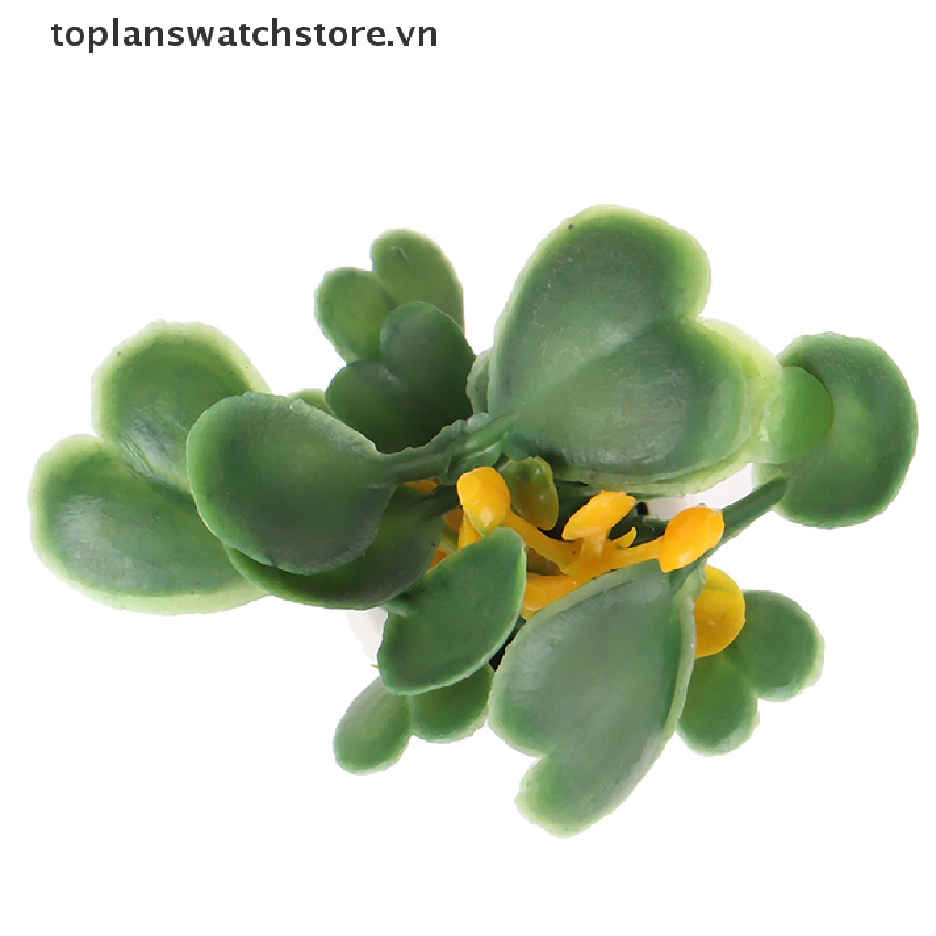 Mô Hình Chậu Cây Xanh Trang Trí Nhà Búp Bê Tỉ Lệ 1: 12