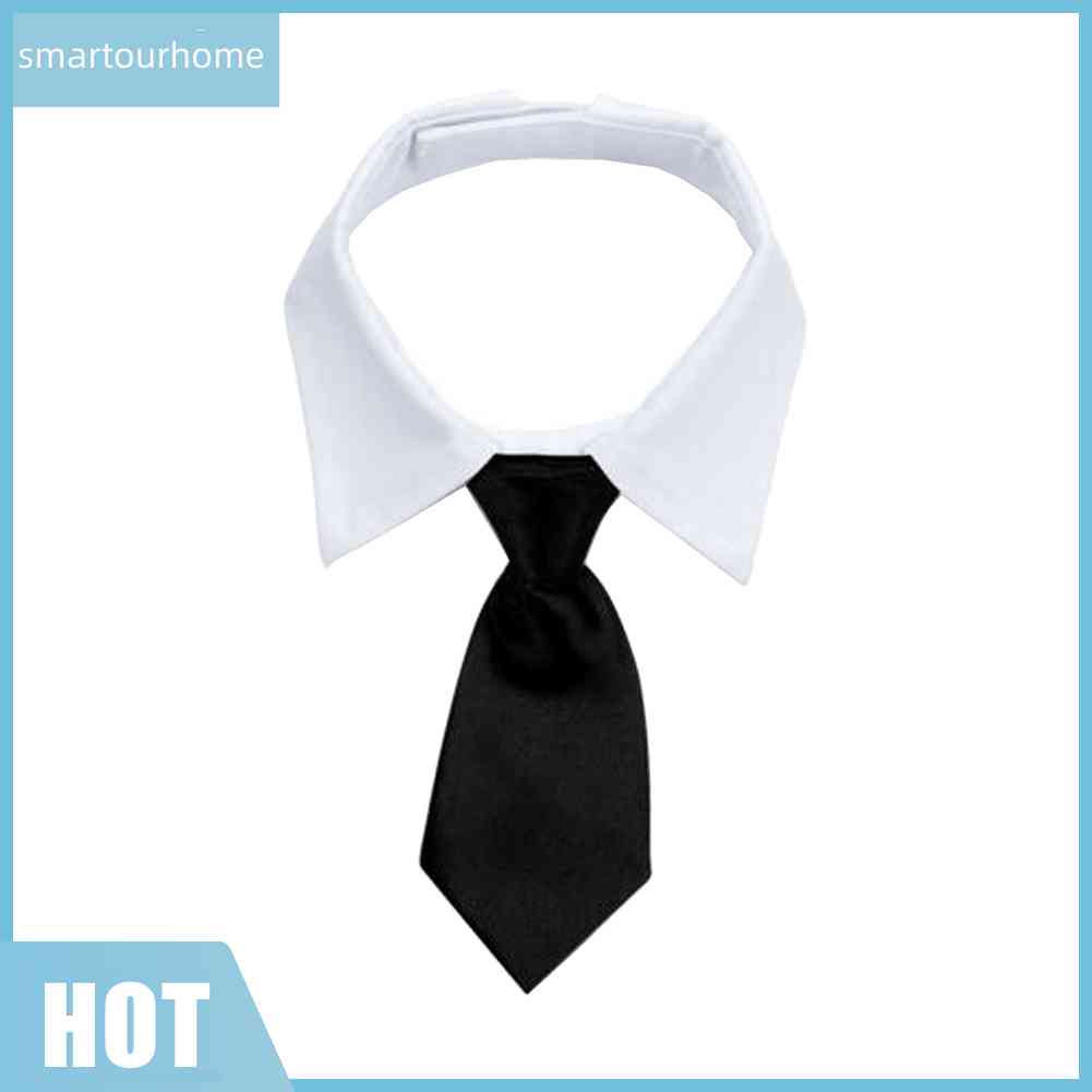 Cà Vạt Mèo Hóa Trang Có Thể Điều Chỉnh Kích Cỡ