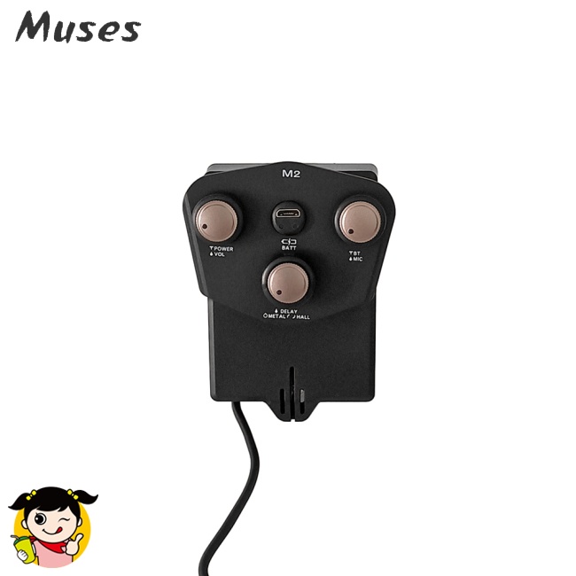 Hàng Có Sẵn Bộ Pickup Đàn Guitar Acoustic Với Reverb / Delay / Bluetooth Có Chức Năng Pin Sạc Lại