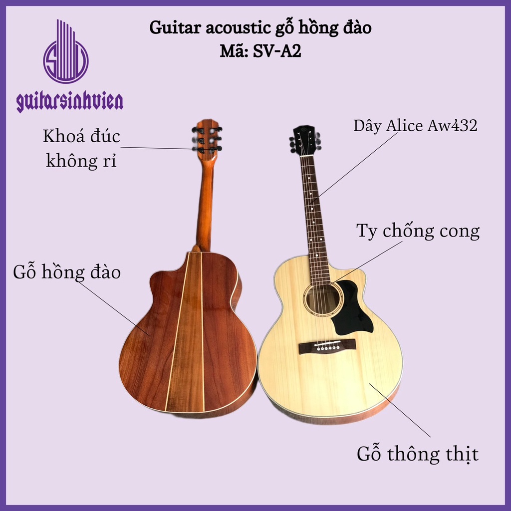 Đàn guitar acoustic SV-A2 gỗ hồng đào thịt - Guitar acoustic có ty, đàn tập chơi tặng 7 phụ kiện