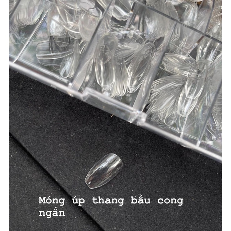 móng up thang bầu cong