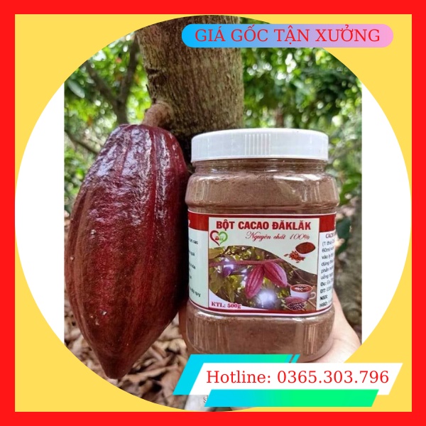 (GIÁ TẬN XƯỞNG) Bột Ca Cao nguyên chất đắk lắk 100% từ Ca Cao giàu chất dinh dưỡng và chất oxi hóa tốt cho sức khoẻ