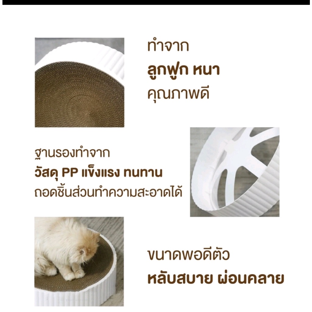 Bàn Cào Móng Hình Tròn Có Thể Thay Thế Lõi