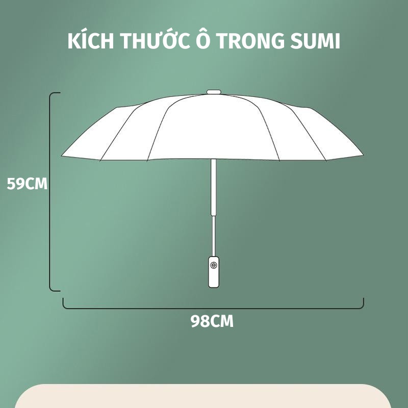 Ô Trong Suốt SUMI Che Mưa Chụp Ảnh Tự Động Đóng Mở Gấp Gọn Phong Cách Hàn Quốc