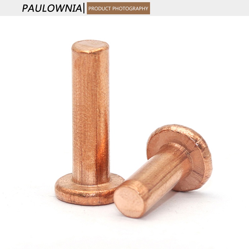 Đinh Tán Đầu Dẹt Bằng Đồng Thau m1.5 m2 m2.5 m3 Dài 3mm - 30mm Chuyên Dụng