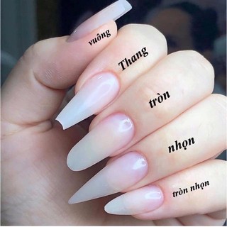 Nail box vuông ngắn phối trắng đen