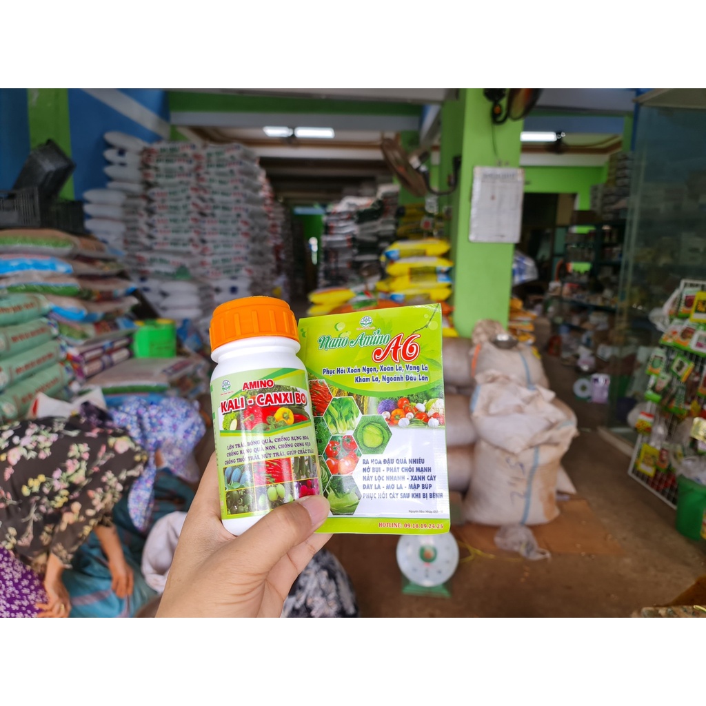 Nano amino A6  - Bung chồi, vọt đọt, thúc bật mầm hoa, xanh lá, dày lá