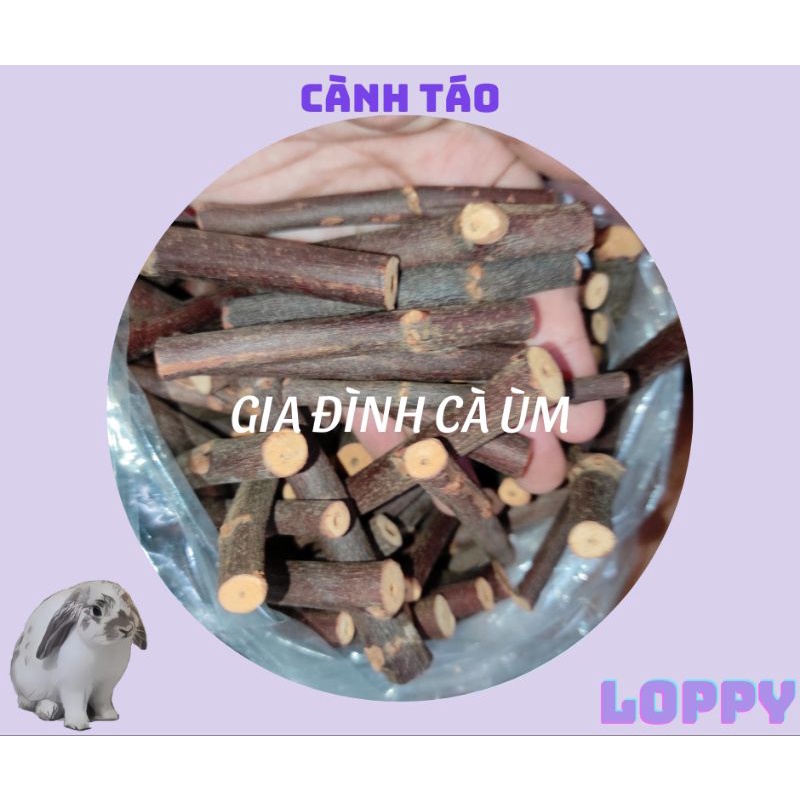 Cành táo mài răng dành cho thỏ/chuột/sóc/chinchilla
