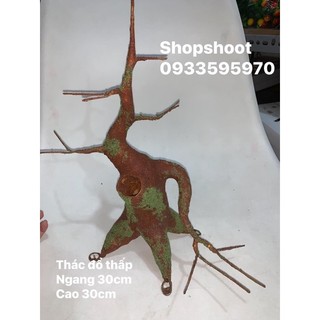 Gốc bonsai nghệ thuật đất sét