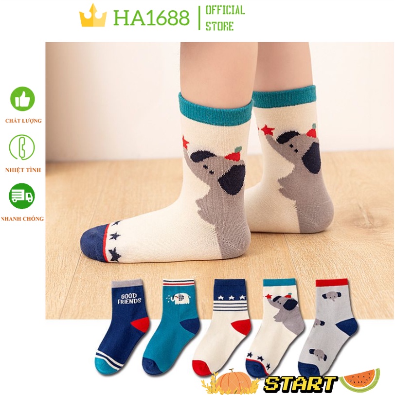 Set 5 đôi tất CAO CỔ cho bé sợi bông nguyên chất mền mịn HA1688.