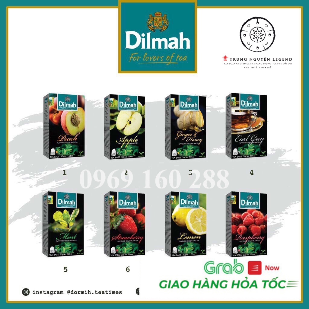 (COMBO 12 Hộp ) Trà Dilmah hương Dâu , Đào ,Bạc hà - hộp 20 túi lọc