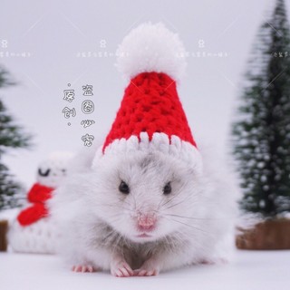 Nón mũ cho hamster mũ Noel