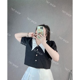ÁO XỐP CỔ TIỂU THƯ [ TNT SHOP BIGSIZE 60KG - 90KG ]