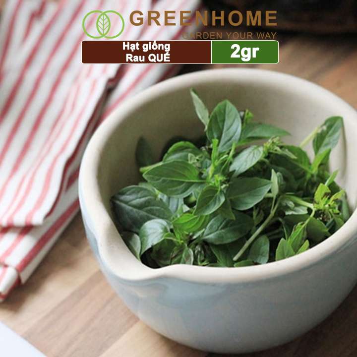 Hạt giống rau quế Greenhome, gói 2gr, húng quế, sinh trưởng tốt, kháng bệnh tốt, thu hoạch nhanh G07