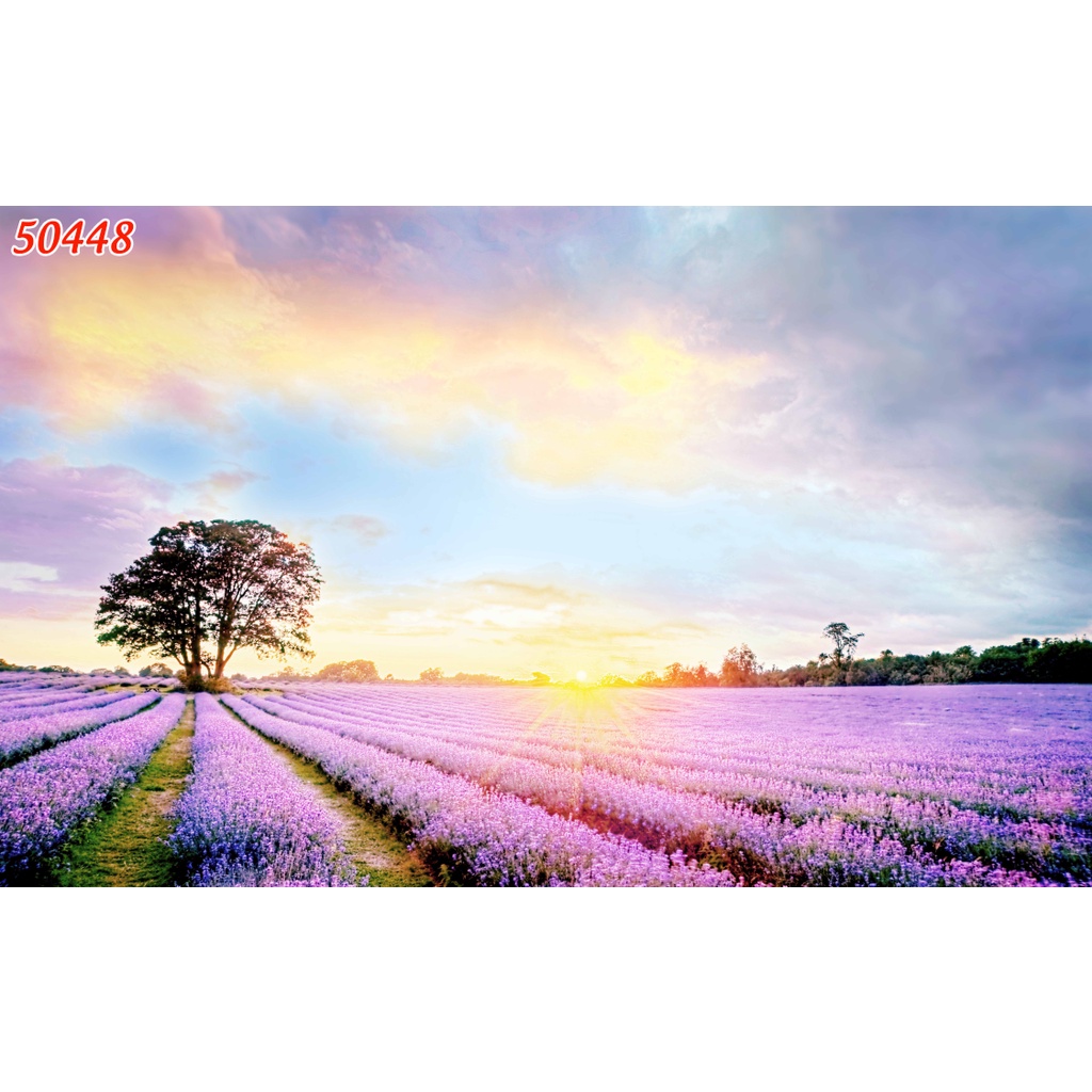 Tranh dán tường 3D hoa Lavender