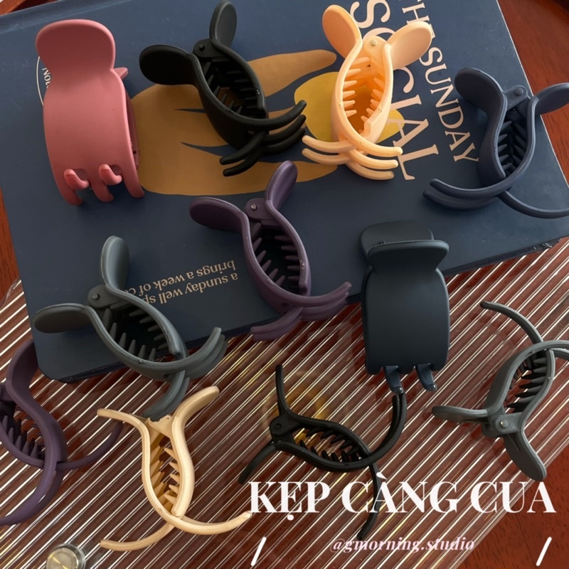 KẸP CÀNG CUA CẠNH TRÒN