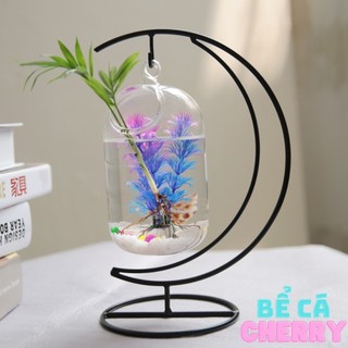 Bể cá mini cung trăng 37 ( Tặng kèm combo phụ kiện trang trí )