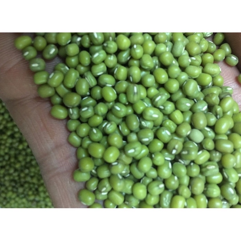 1kg Đỗ xanh quê nguyên hạt loại 1 : Thơm - Bở