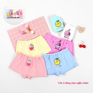 Quần chip đùi bé gái, combo 1 lốc 5 cái màu ngẫu nhiên