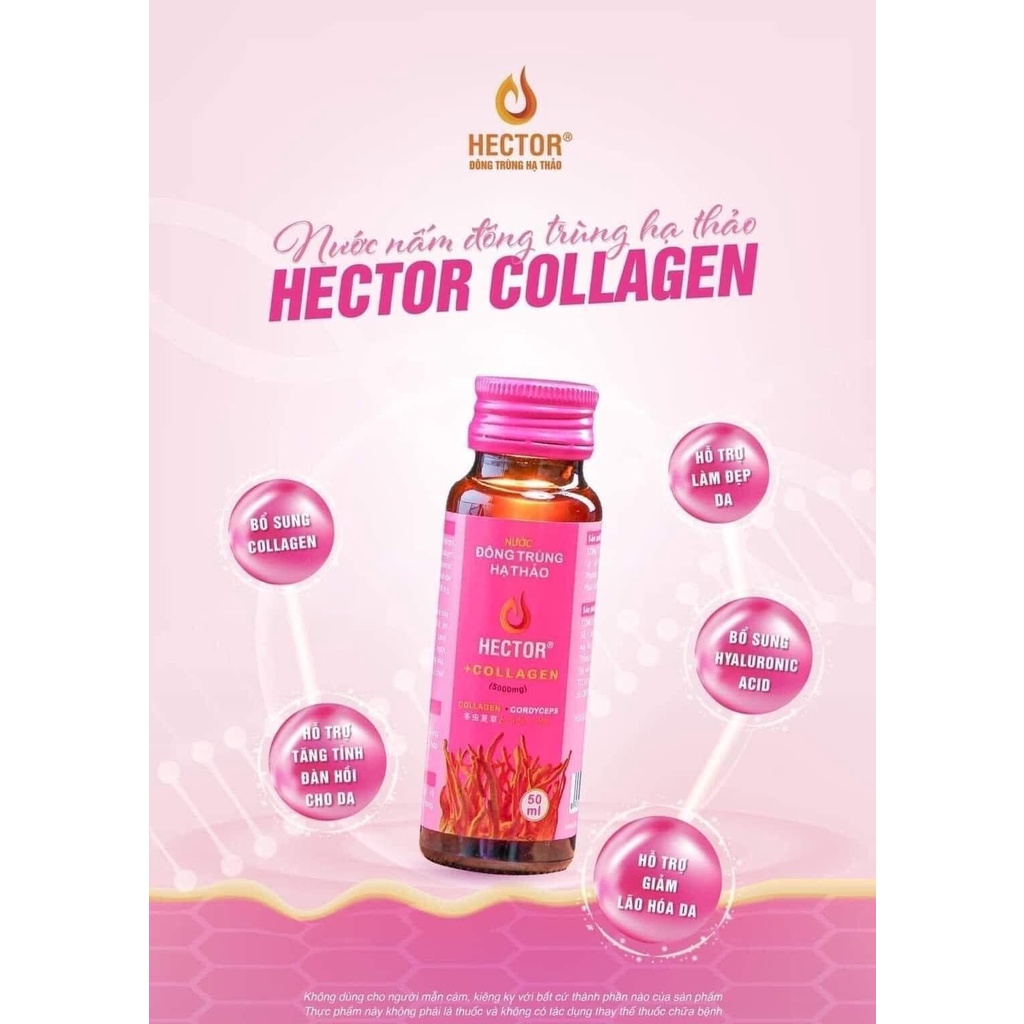 Hector Collagen - Đông Trùng Hạ Thảo kết hợp Collagen 5000mg dạng nước