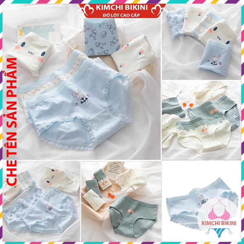 Quần Nót Nữ Cotton Cute Dễ Thương Chip Cạp Thấp Nâng Mông Thông Hơi KIMCHIBIKINI quần Silit mẫu mã đa dạng với nhiều màu