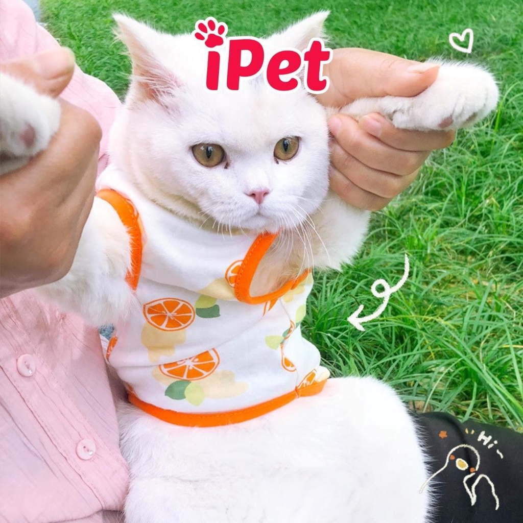 Áo thun ba lỗ trái cây dễ thương thoáng mát cho thú cưng chó mèo - iPet Shop