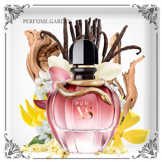 🅖🅐🅡🅓🅔🅝 ┊ Nước hoa Pure XS EDP 5ml/10ml/20ml