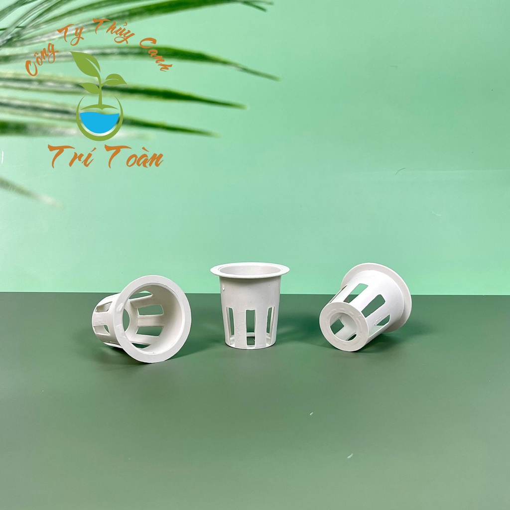 (Combo 50 cái) Rọ nhựa cao cấp trồng rau thủy canh dùng cho mút ươm kích thước 55x55x35