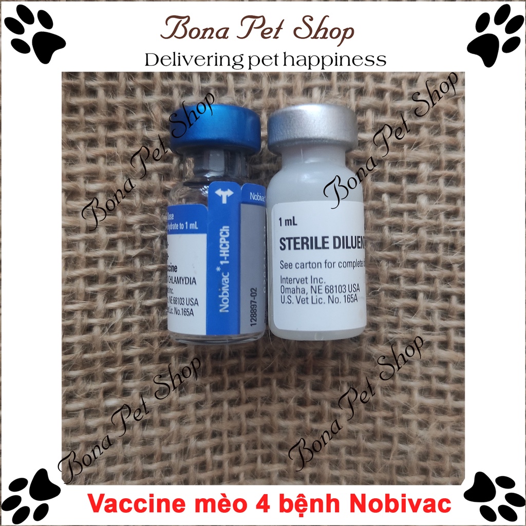 Vaccine Nobivac cho mèo