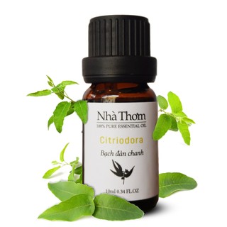 Tinh dầu bạch đàn chanh - citriodora essential oil