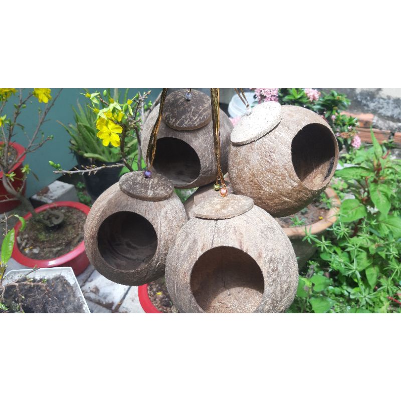 Gáo Vip làm tổ chim, tổ sóc, ĐK 13,5cm-15cm