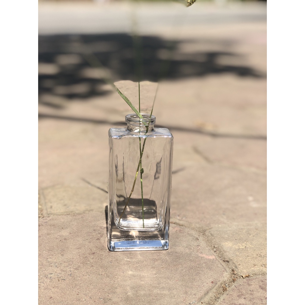 Bình Hoa Thủy Tinh Mini Trang Trí - Bình Hoa Dẹt Decor Siêu Xinh