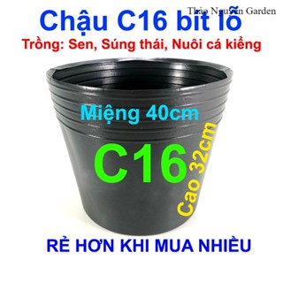 Chậu nhựa bít lỗ C16 (40x32cm) trồng sen mini, nuôi cá kiểng, Form Cá Guppy, Betta, Cá Bảy màu | Thảo Nguyên Garden
