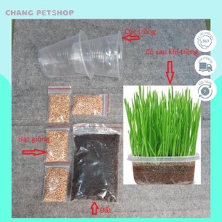 Combo Hạt Giống Cỏ Mèo - Changpetshop