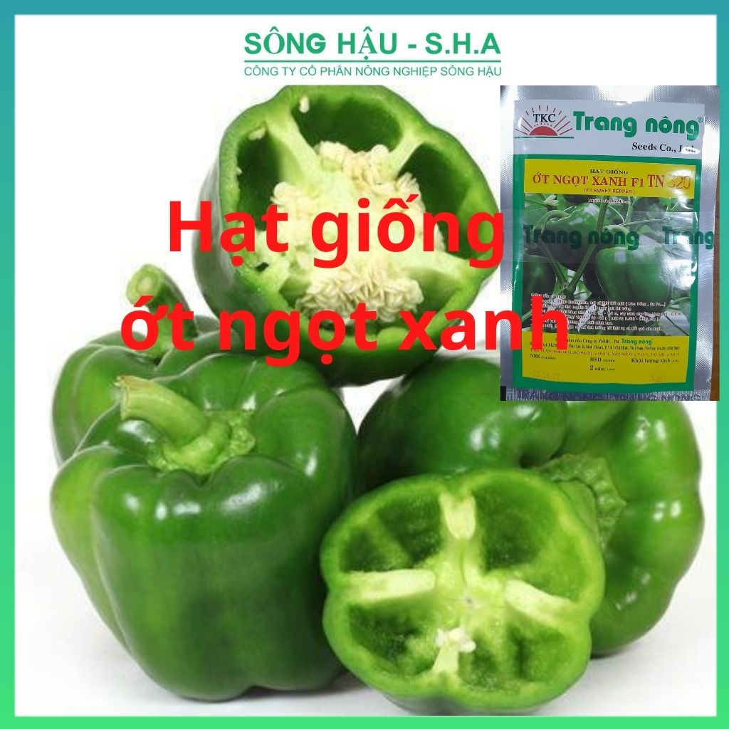Hạt giống ớt chuông, ớt ngọt xanh Trang Nông 1g năng suất cao, trồng bốn mùa, kháng sâu bệnh