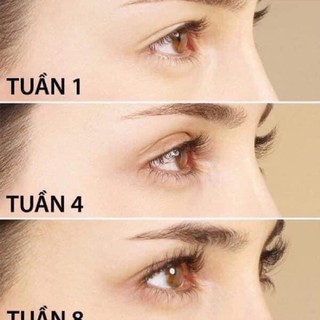 Tinh Chất Dưỡng Dài Mi Nee Cara Eyelash