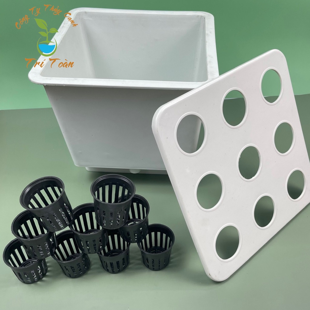 (Combo 12 thùng) Thùng nhựa, chậu nhựa trồng rau thủy canh tĩnh 9 lỗ