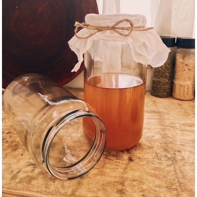 COMBO 8 MÓN ĐẦY ĐỦ LÀM TRÀ KOMBUCHA (AnnaKombucha)