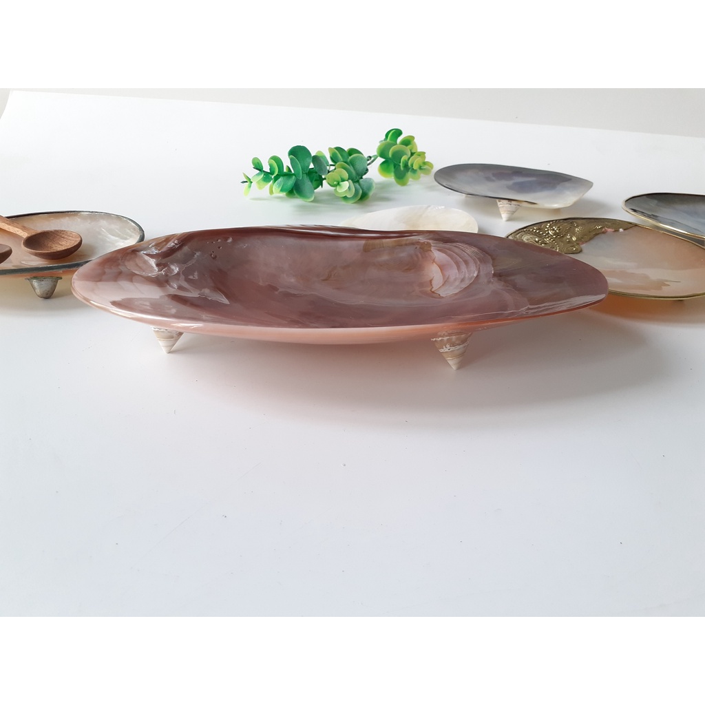 Đĩa trai hồng, đĩa xác đen, xác vàng Diềm Mạ Niken màu Vàng