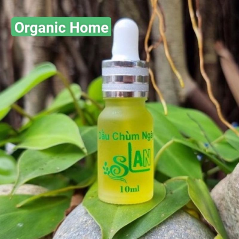 Dầu Chùm Ngây Slan