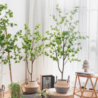 Cây giả, cây Thạch Nam trang trí nhà đẹp