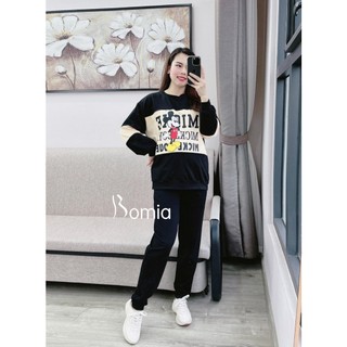 Bộ bầu nỉ hình Mickey