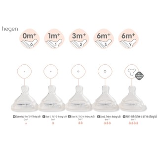 Núm ti bình hegen chính hãng
