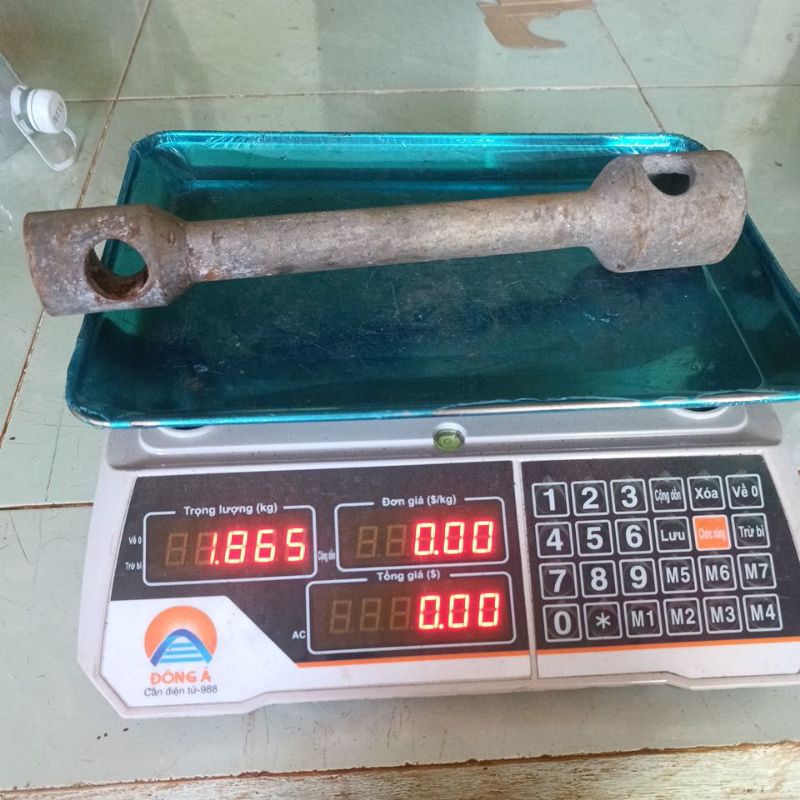 Đầu tắc kê 38 đuôi 3/4 nhật bãi