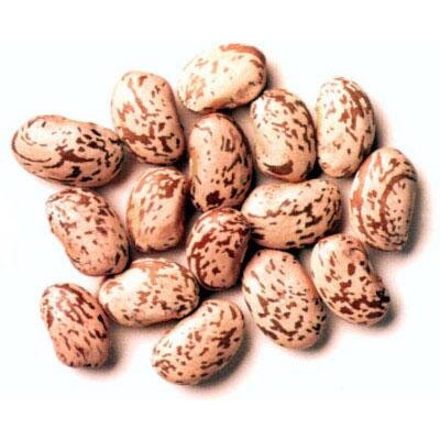 500g Hạt Đậu Cúc PINTO