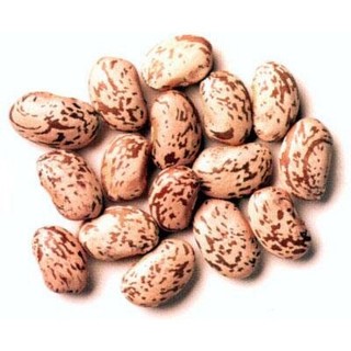 Đậu Cúc Pinto 500g CodCool Mart