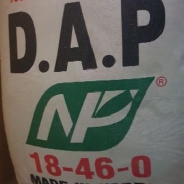 (500gr) Phân Bón DAP hạt đen