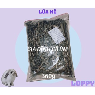 [TẶNG 1 viên oxbow cho đơn từ 50k]Cỏ lúa mì ăn vặt cho thỏ/chuột lang