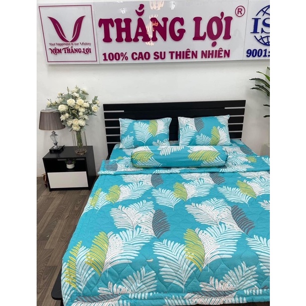 drap lẻ (không áo gối) cotton 100% Thắng Lợi in logo trên vải