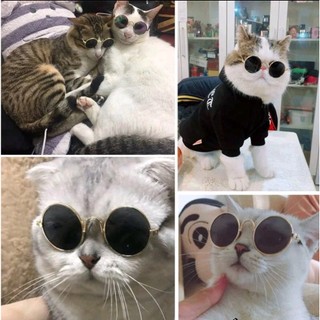 Mắt Kính Thời Trang Cho Thú Cưng